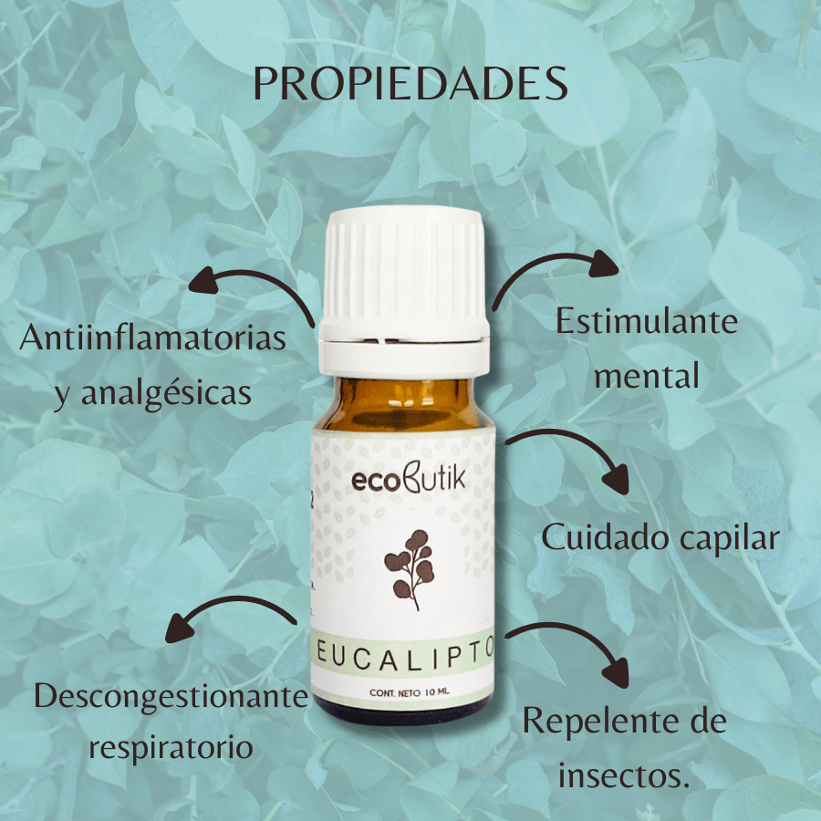 Aceite Esencial Puro de Eucalipto